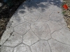sam_0061_0