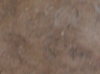 sam_0081_0