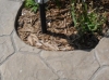 sam_0097_0